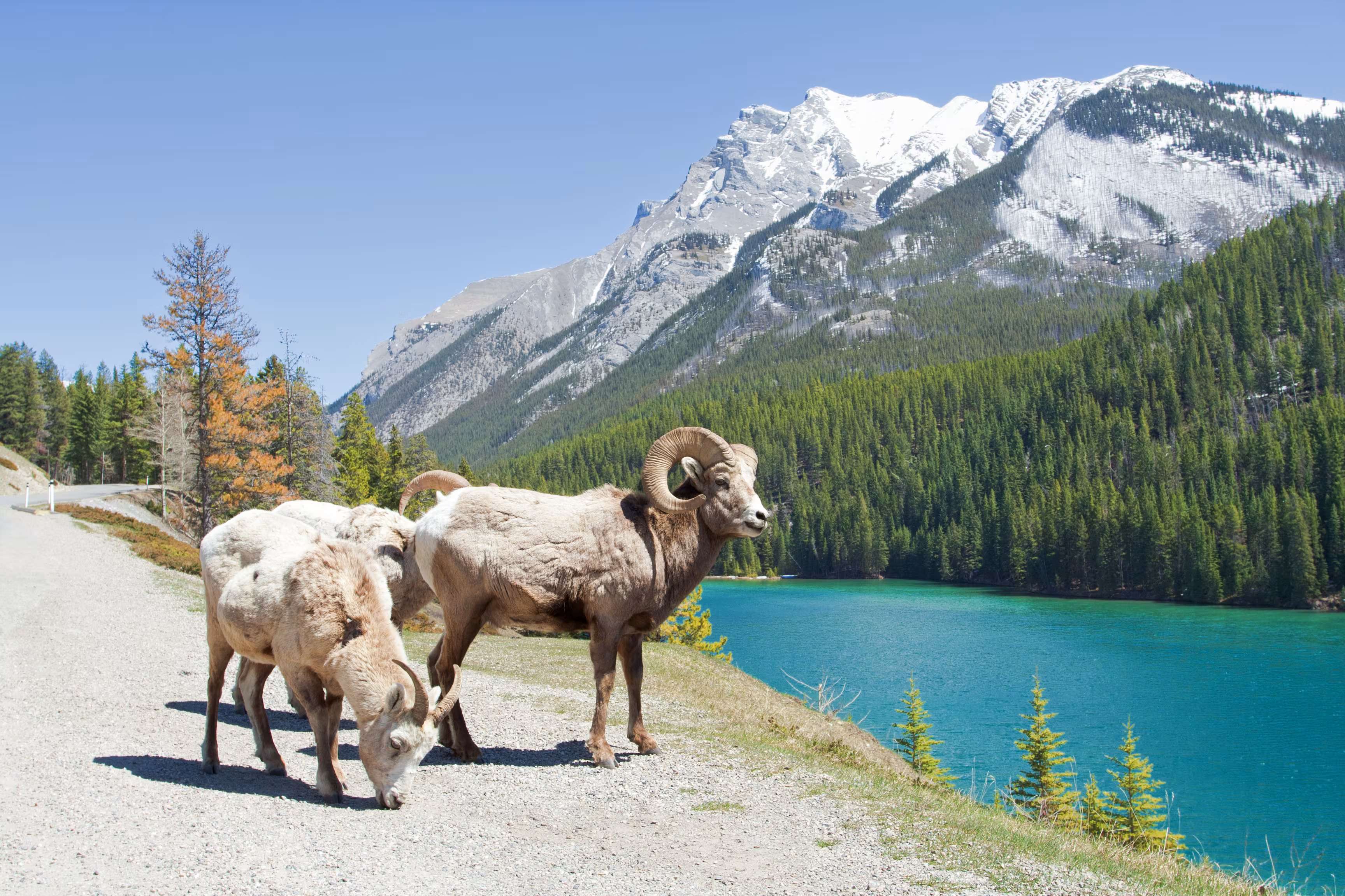 Moraine Lake and Valley of the Ten Peaks